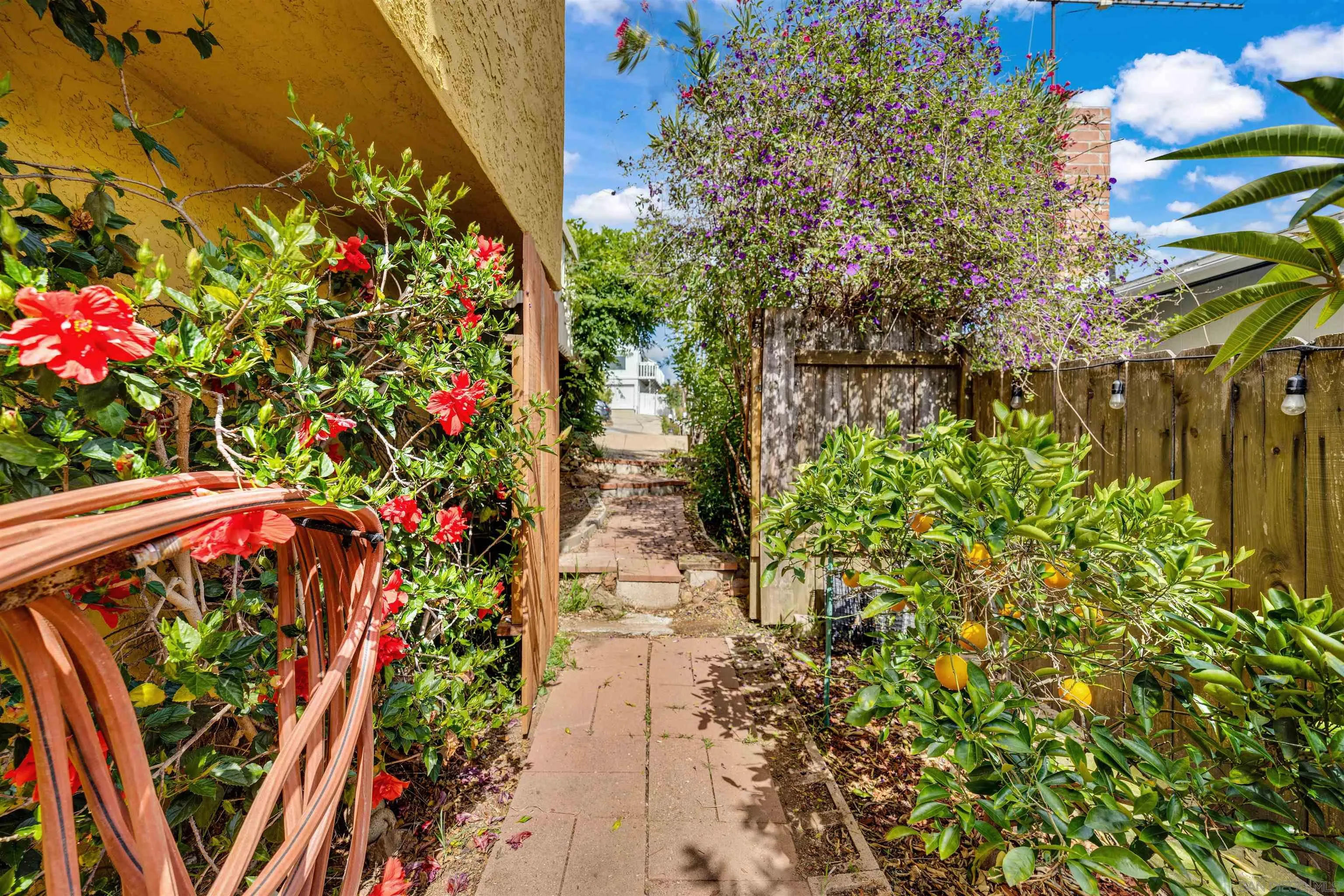 1302 Paraiso Avenue Spring Valley, CA 91977 - Photo 28 of 34 a picture of flowers