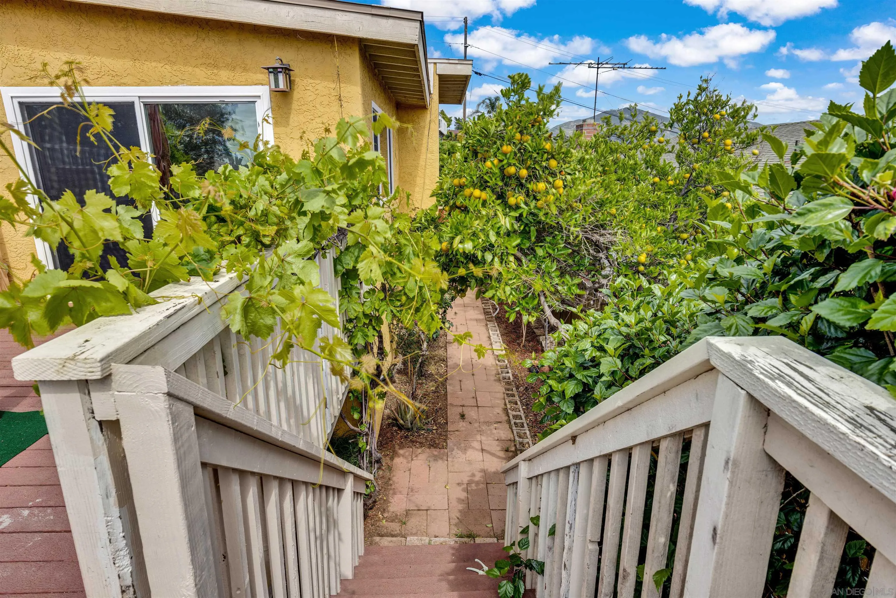 1302 Paraiso Avenue Spring Valley, CA 91977 - Photo 30 of 34 a view of a house with wooden fence and potted plants