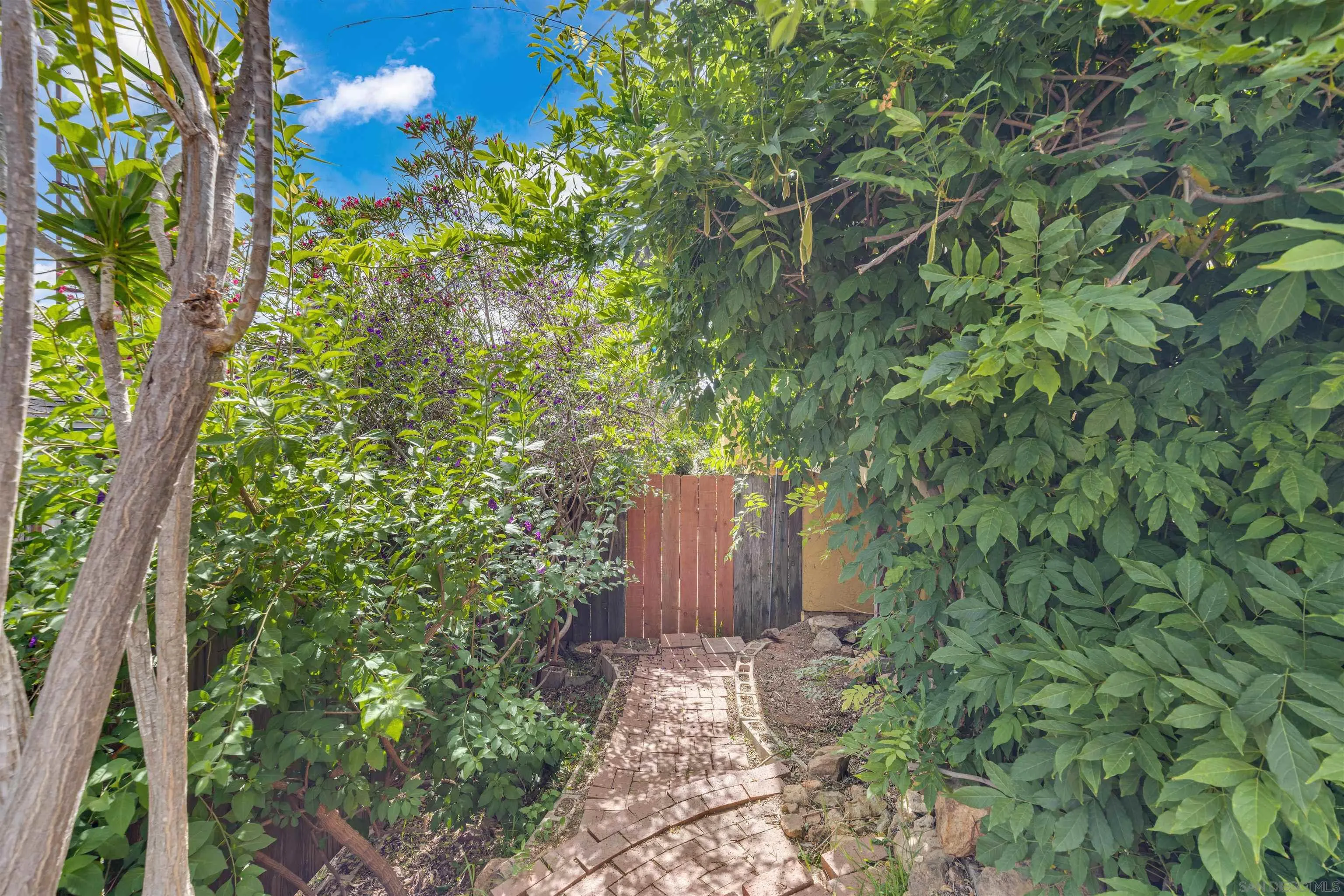 1302 Paraiso Avenue Spring Valley, CA 91977 - Photo 31 of 34 a backyard of a house with lots of green space