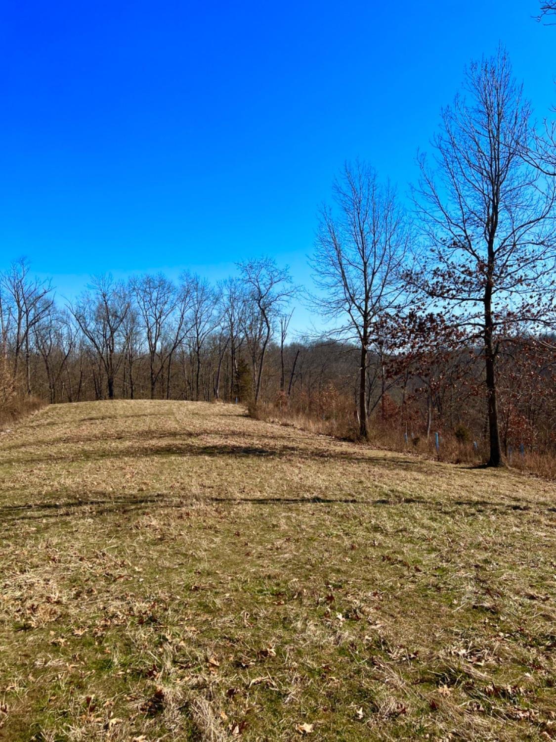 0 Balcony Hills Road Aberdeen, OH 45101 - Photo 2 of 50