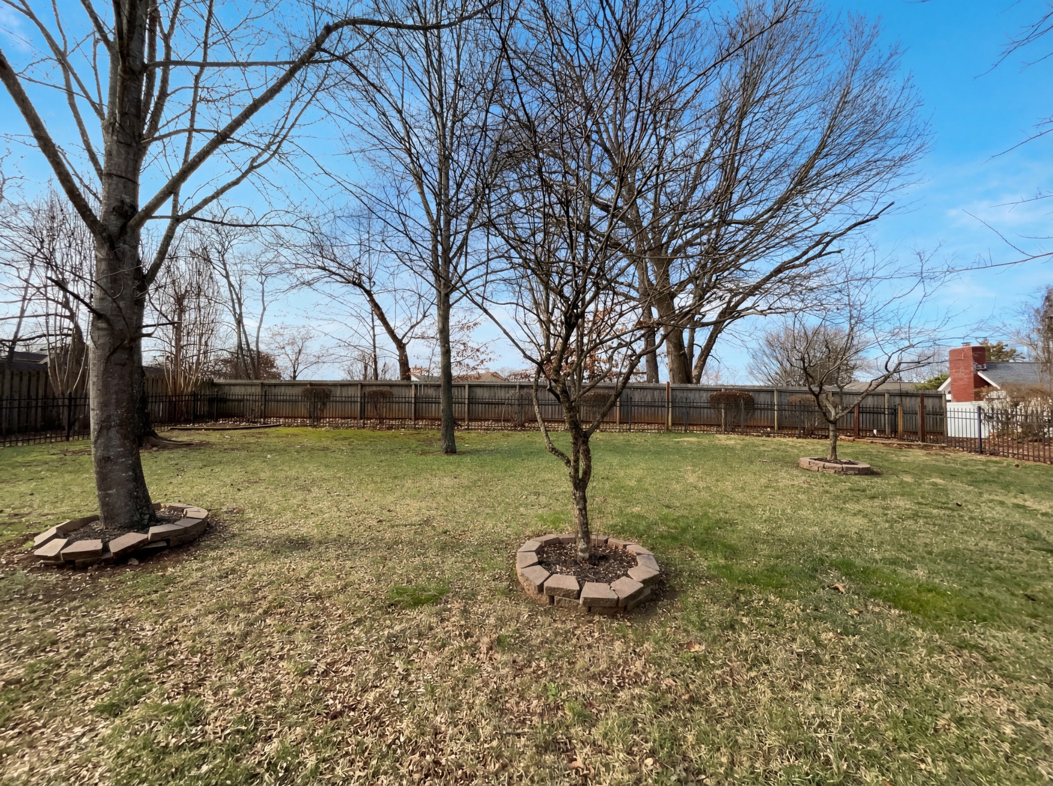 3106 Park Hill Road Murfreesboro, TN 37129 - Photo 7 of 28 a view of a garden with a tree