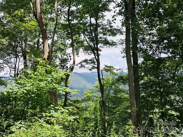 $19,900 | 0 Hurricane Rdg Trace, Unit 53, Clyde, NC 28721