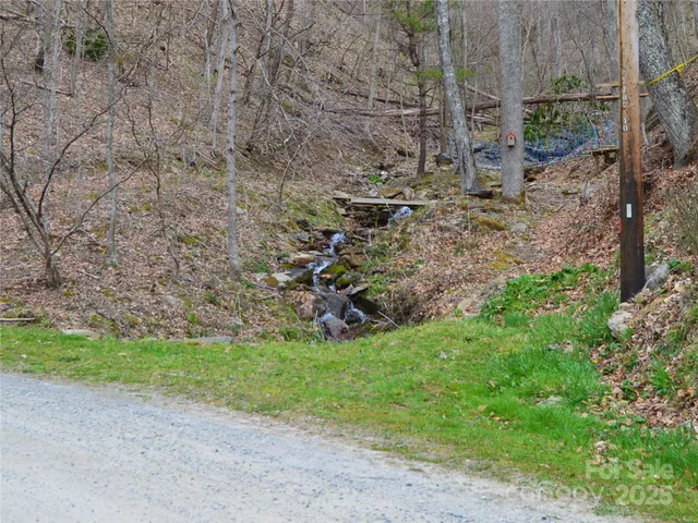 a view of a backyard with plants