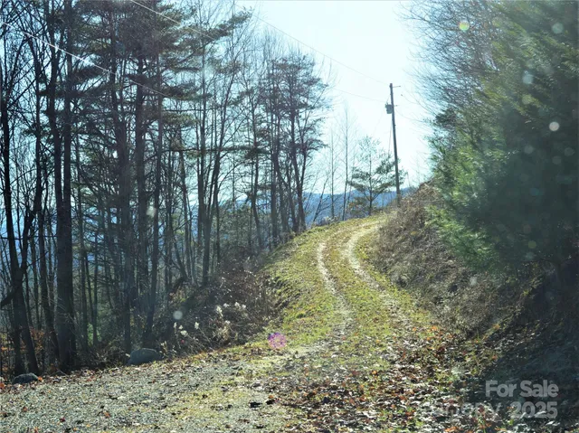 a view of swimming pool and trees