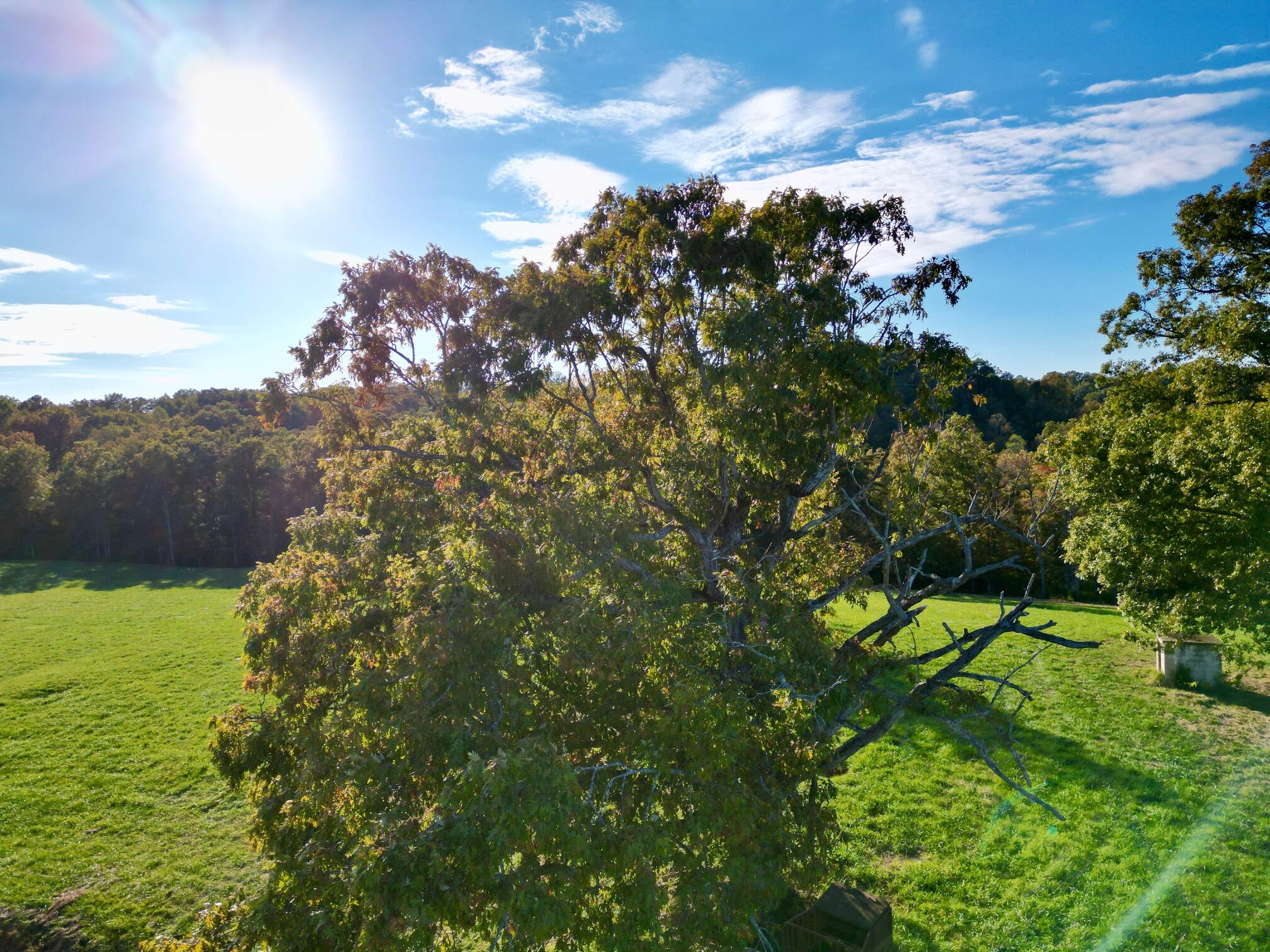 714 Spencer Ridge Road Beattyville, KY 41311 - Photo 22 of 33 dji_fly_20251015_171954_882_176056384877