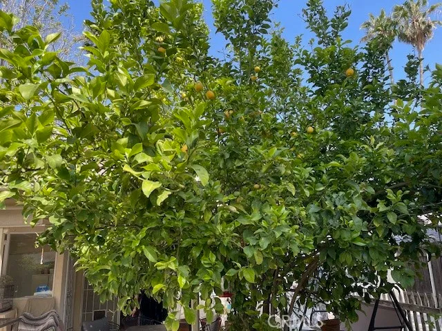 $1,150,000 | 7328 Remmet Avenue, Canoga Park, CA 91303