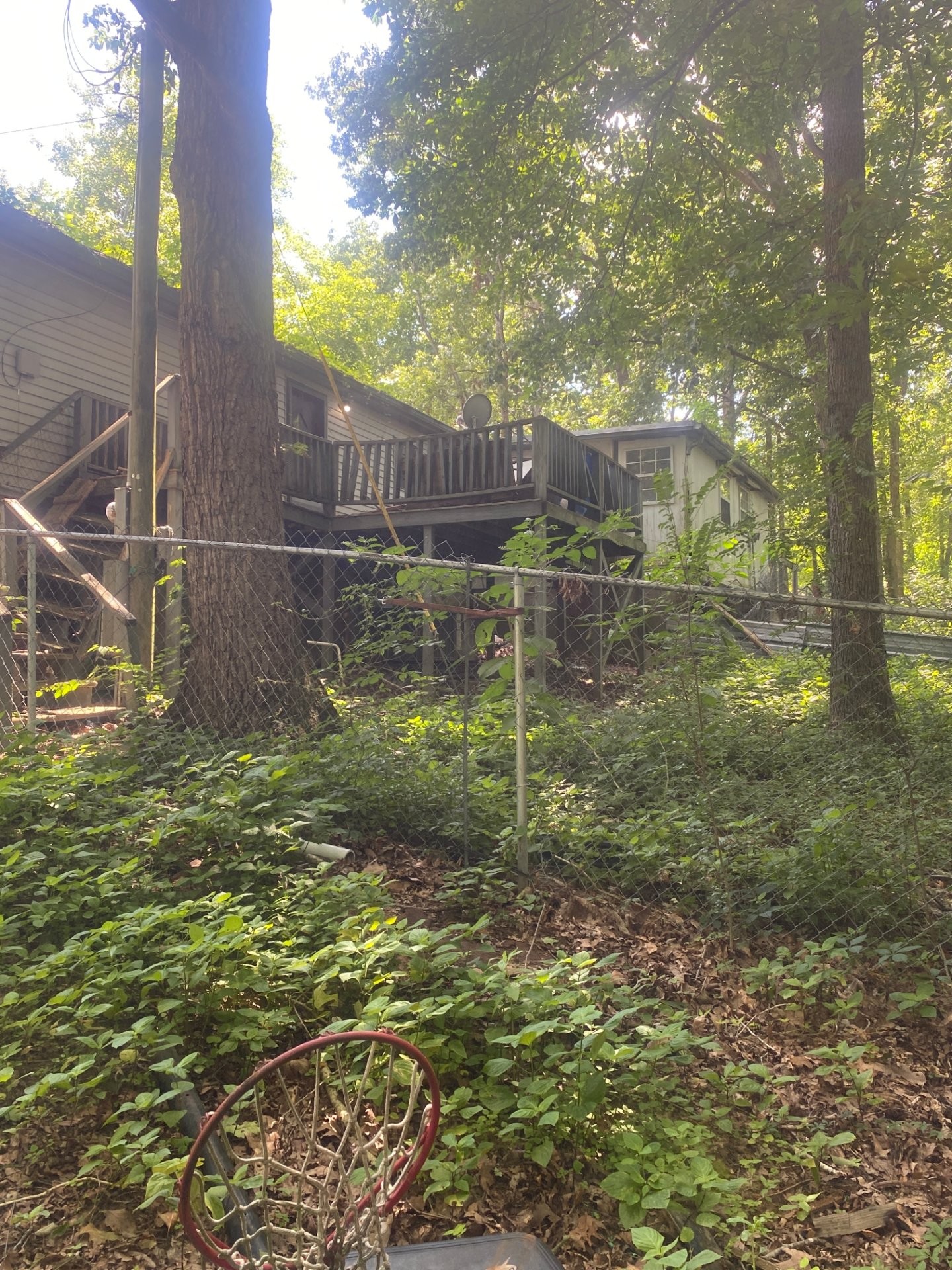 6183 Parker Road Lyles, TN 37098 - Photo 46 of 59