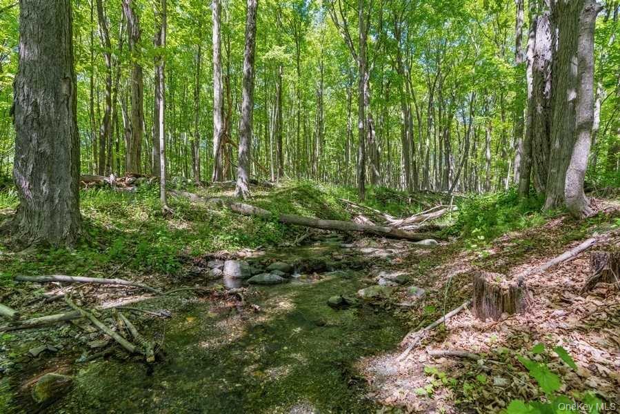 1141 Beekman Road Hopewell Junction, NY 12533 - Photo 29 of 30