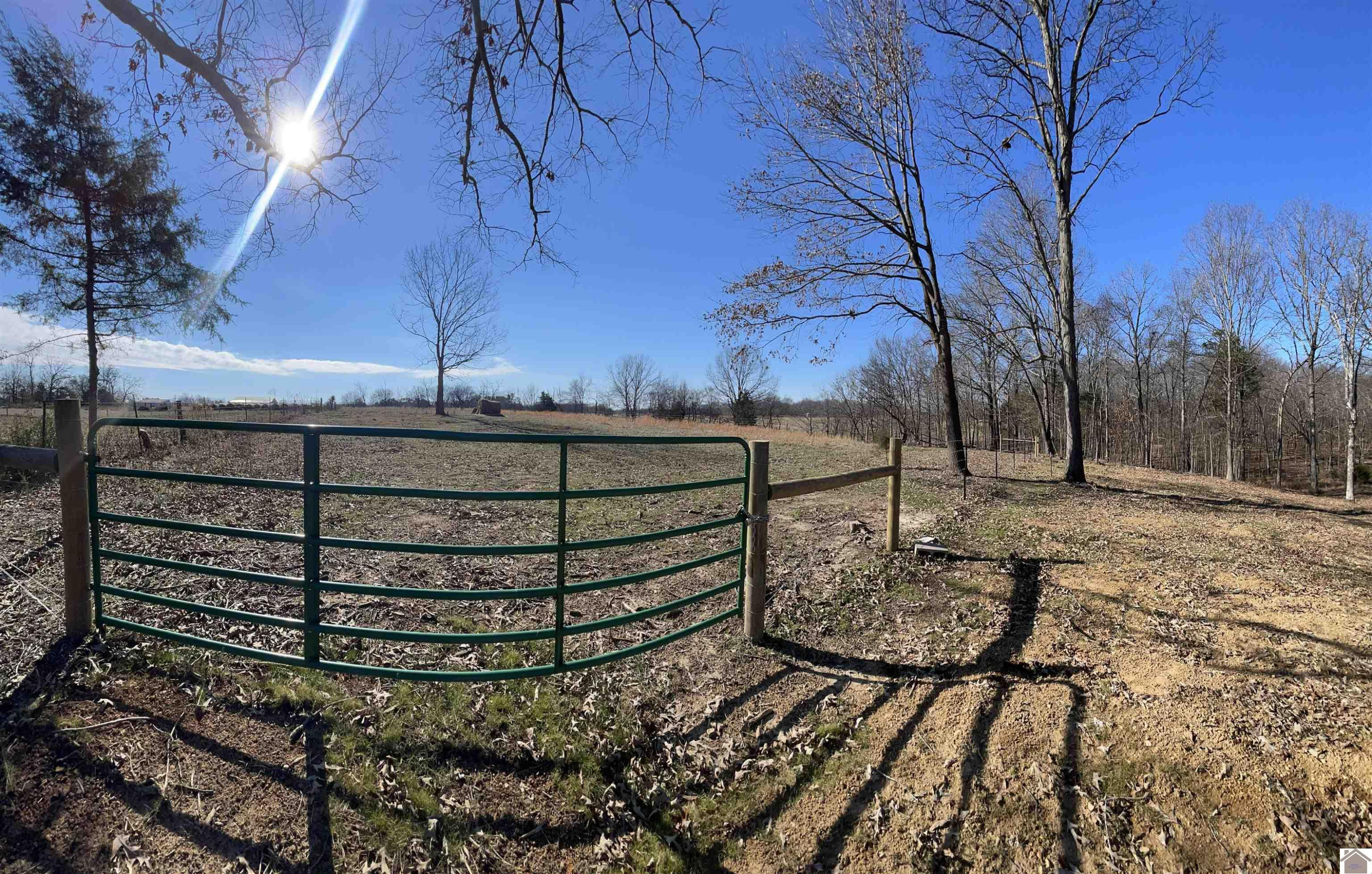 4339 Almo-Shiloh Road Almo, KY 42020 - Photo 5 of 7 Photo 5