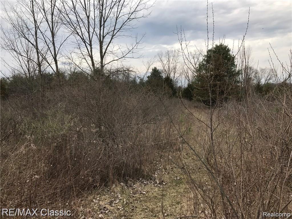 4801 North Territorial Road Dexter, MI 48130 - Photo 6 of 15