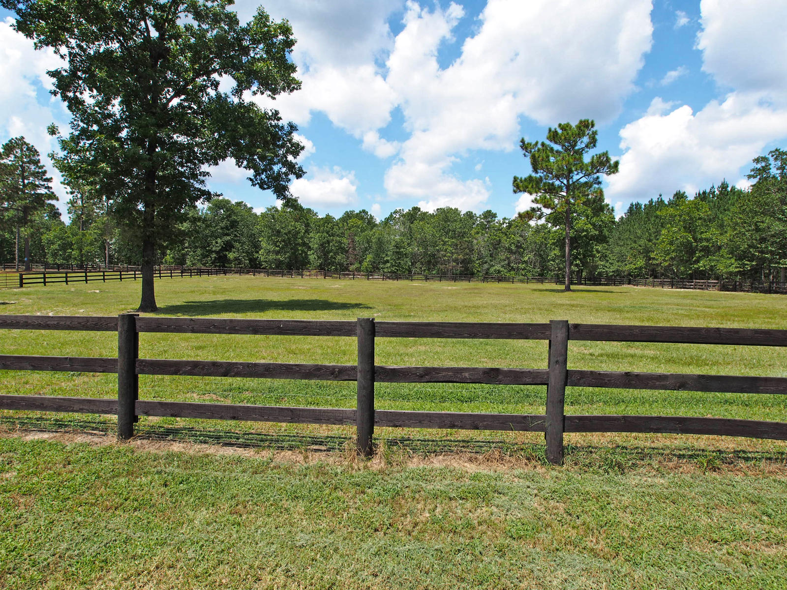 630 Bowman Road Aberdeen, NC 28315 - Photo 44 of 59 pasture1