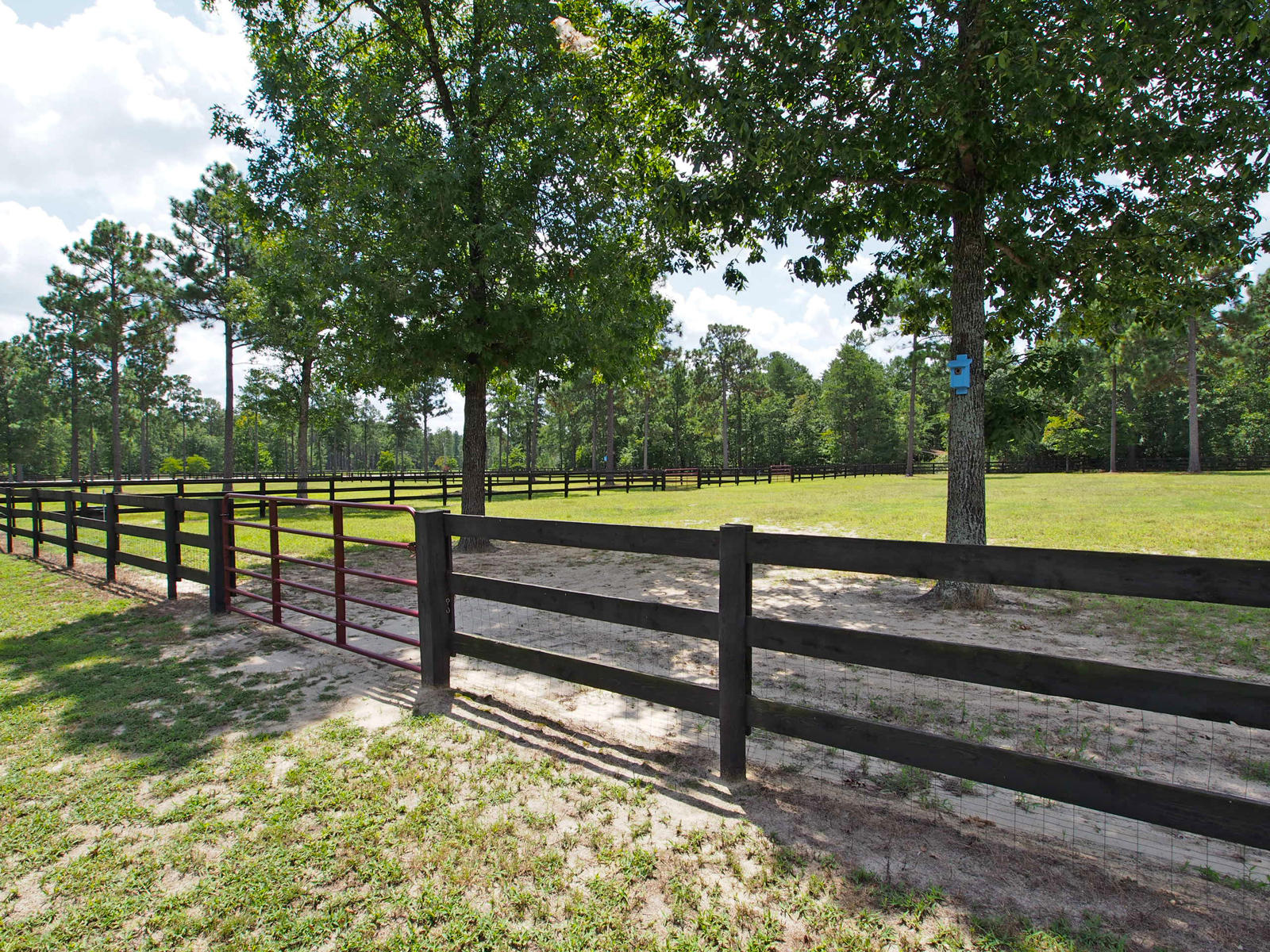 630 Bowman Road Aberdeen, NC 28315 - Photo 45 of 59 pasture2