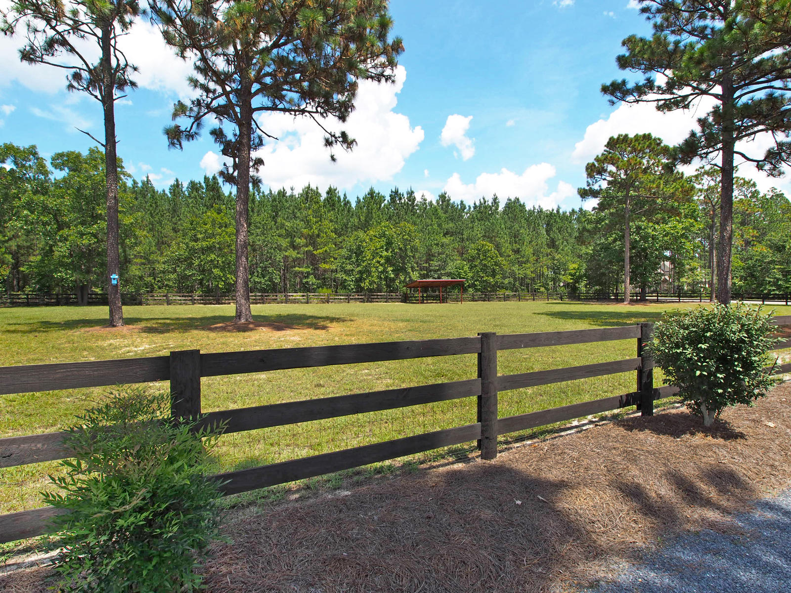 630 Bowman Road Aberdeen, NC 28315 - Photo 49 of 59 pasture6