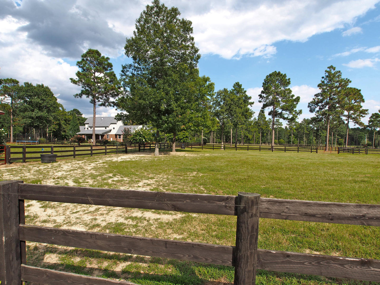 630 Bowman Road Aberdeen, NC 28315 - Photo 51 of 59 pasture8