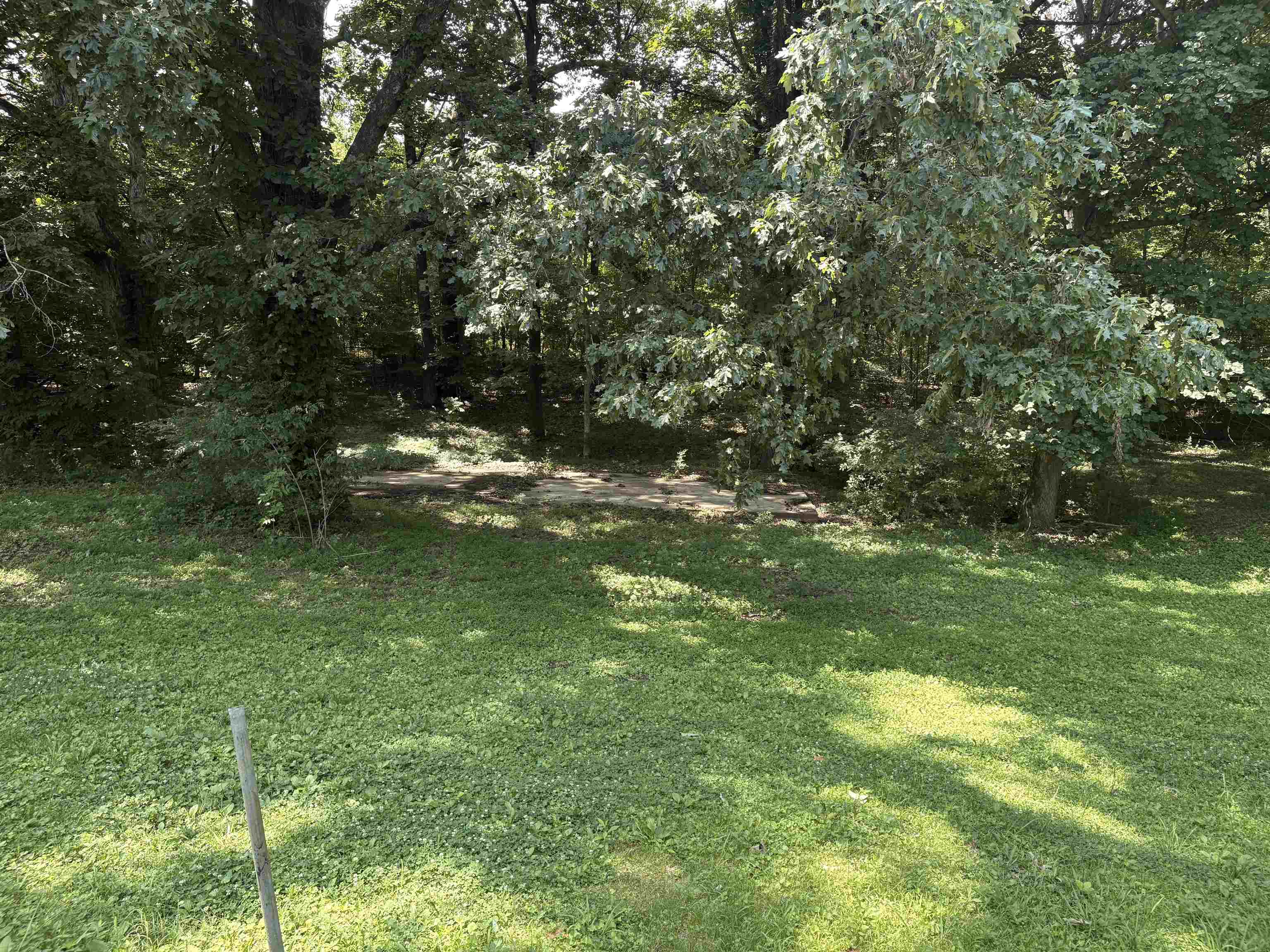 4009 Tessland Road Memphis, TN 38128 - Photo 15 of 16 Expansive grassy area with mature trees providing partial shade