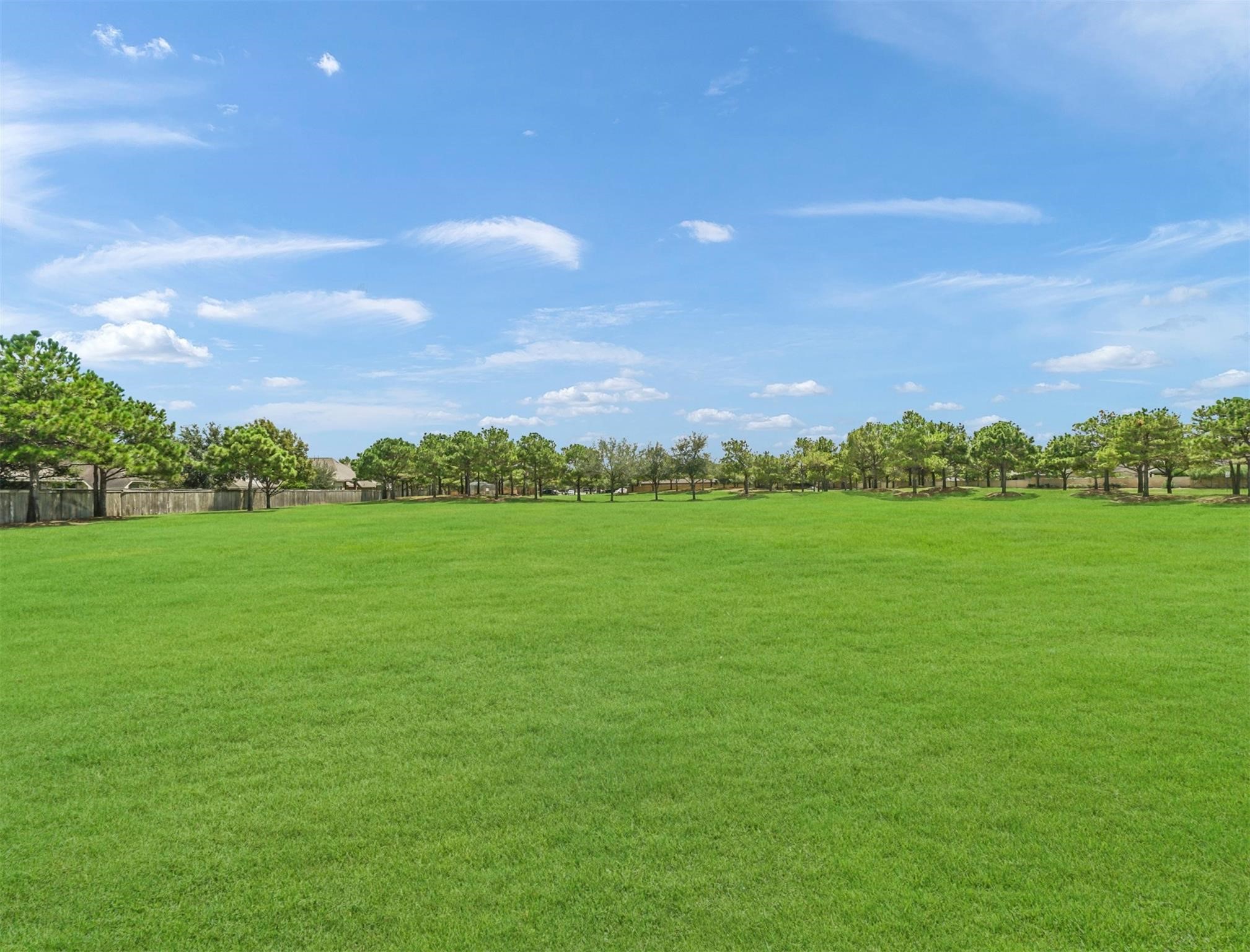 9915 Rochs Hill Court Katy, TX 77494 - Photo 27 of 32 a view of a field with an ocean