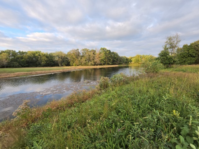 0 East Knox Road Mount Vernon, IL 62864 - Photo 8 of 49 Gallery Image 8