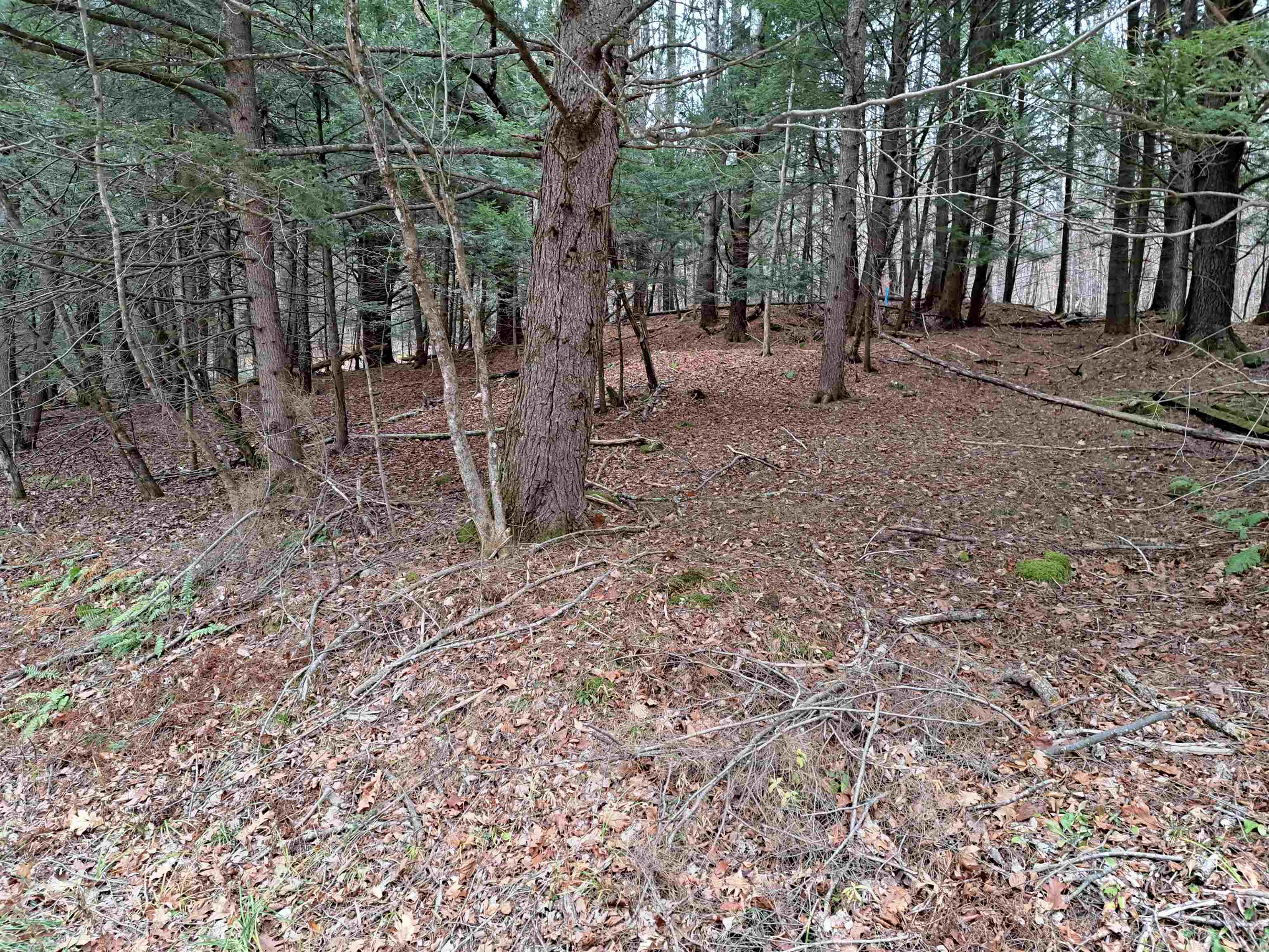 4 West Unity Road, Unit 4 Claremont, NH 03743 - Photo 6 of 9