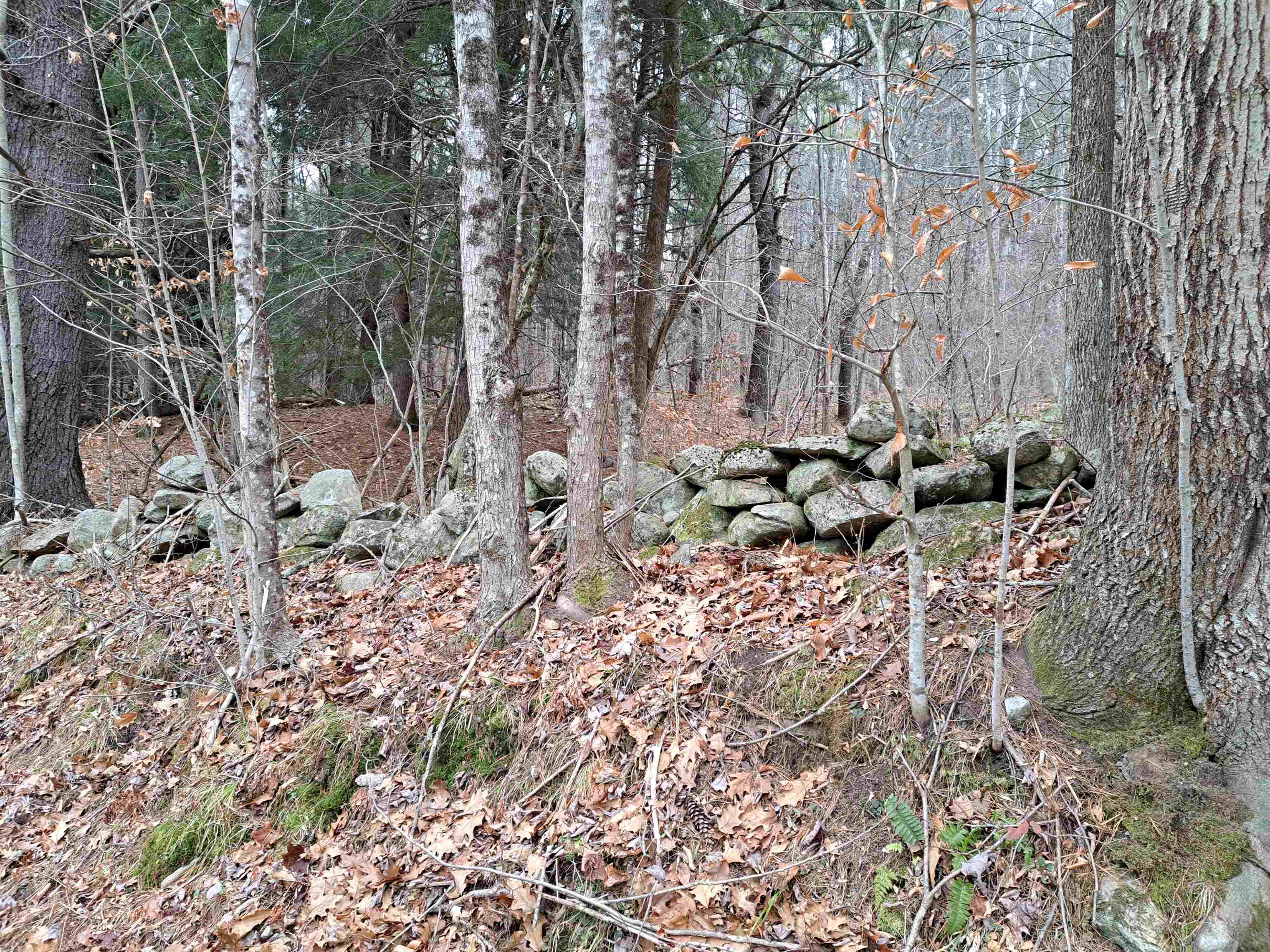 4 West Unity Road, Unit 4 Claremont, NH 03743 - Photo 8 of 9