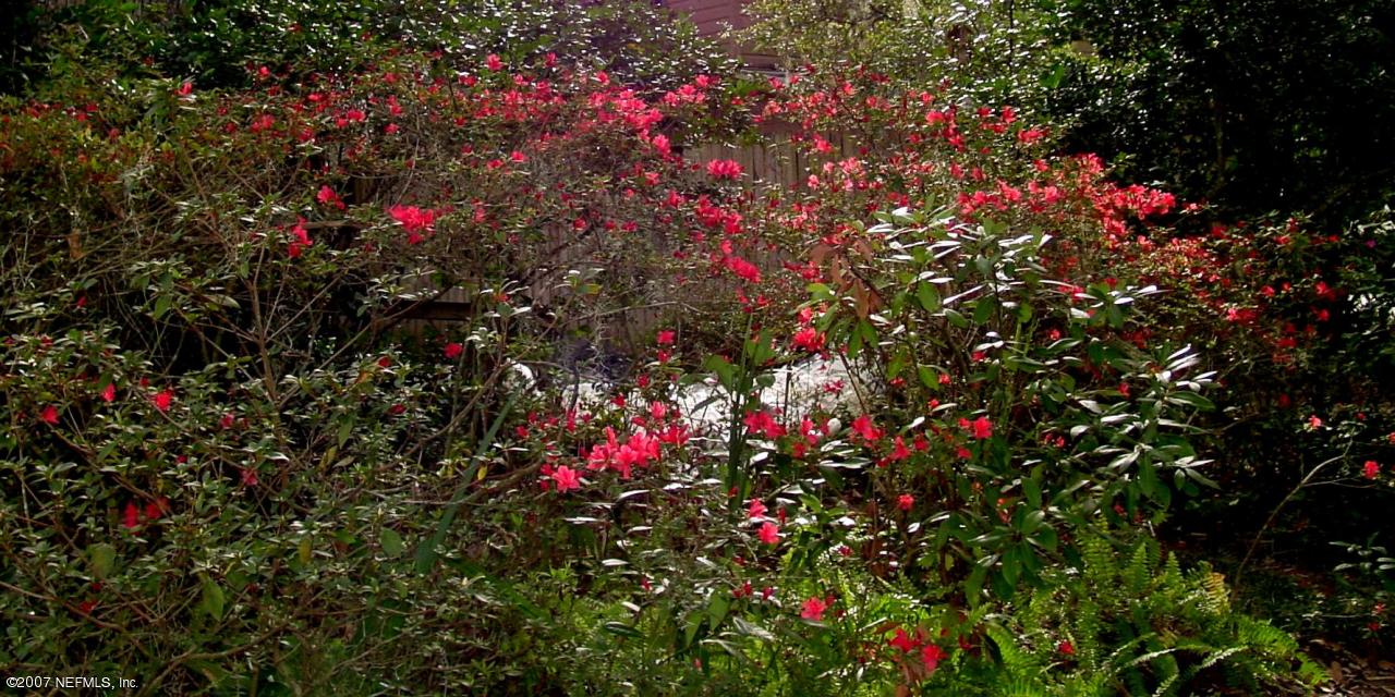 1178 Neck Road Ponte Vedra Beach, FL 32082 - Photo 11 of 13 Wild Azaleas!