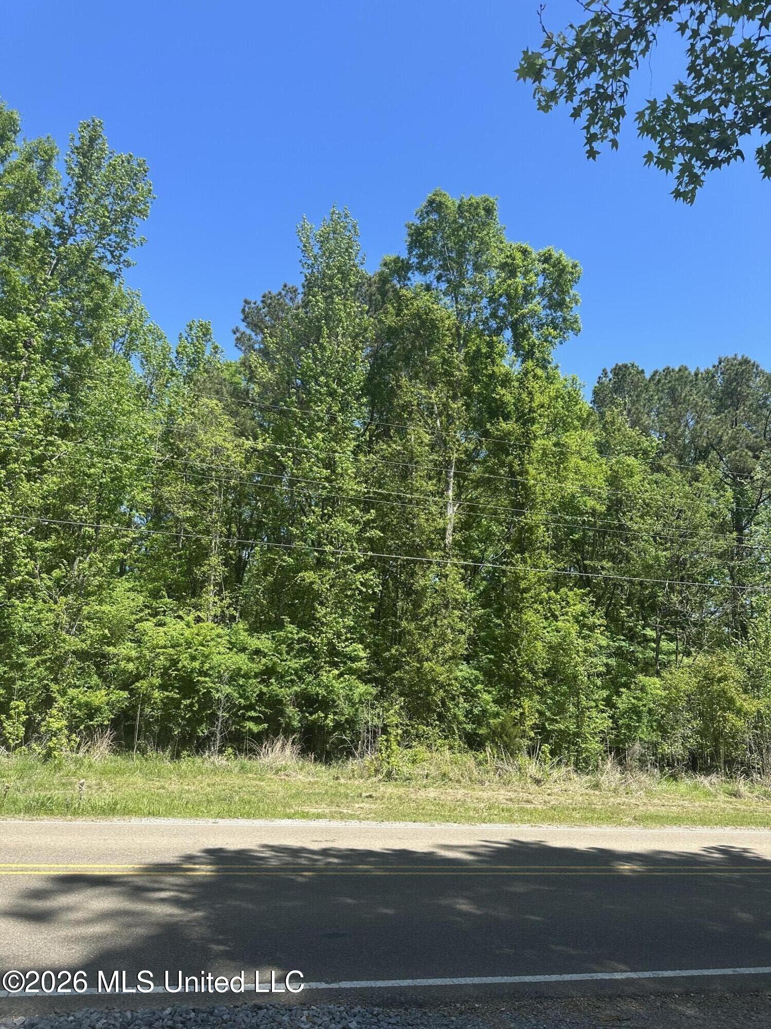 Robinson Springs Road Madison, MS 39110 - Photo 1 of 4 IMG_2360