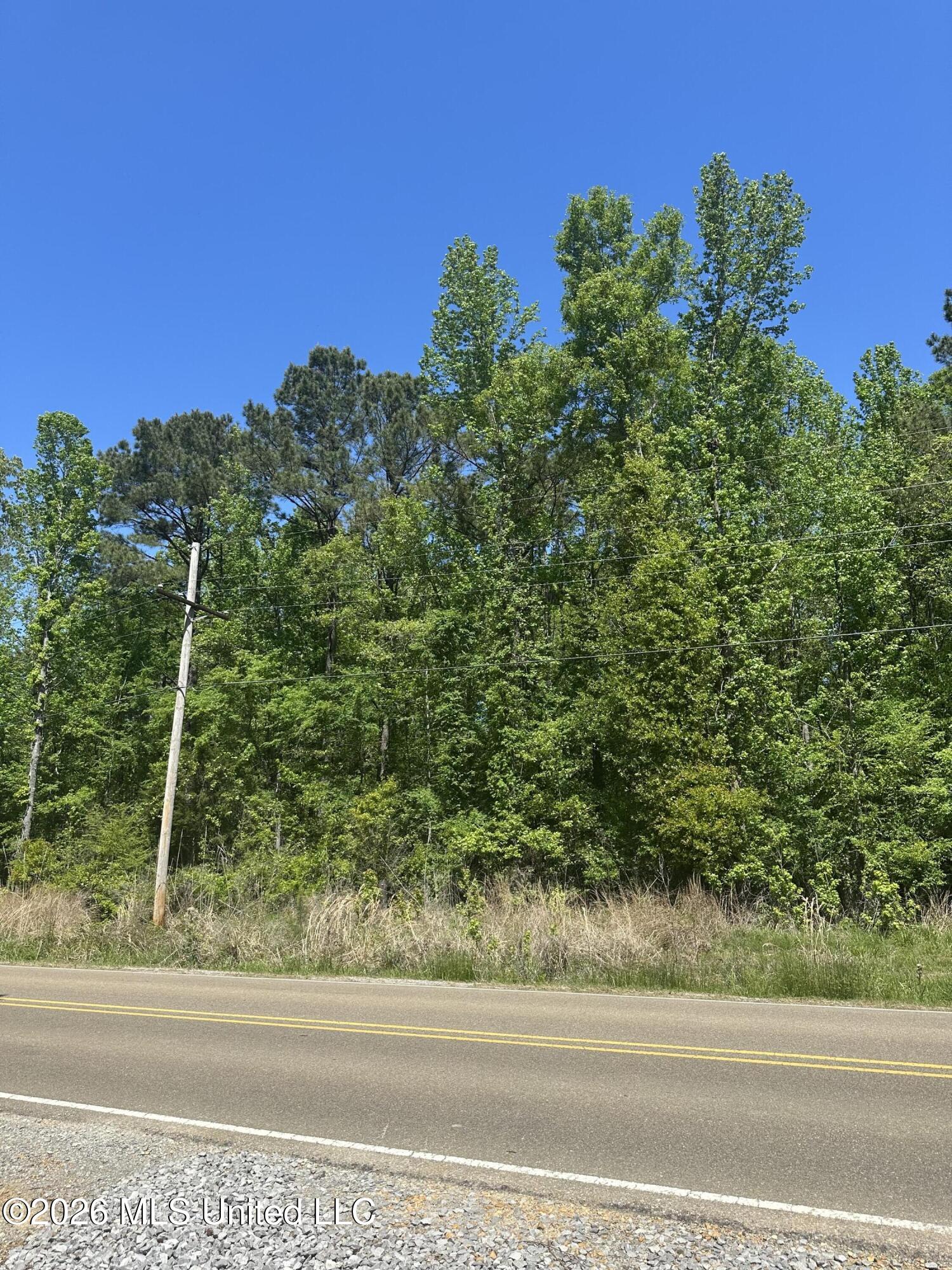 Robinson Springs Road Madison, MS 39110 - Photo 2 of 4 IMG_2366