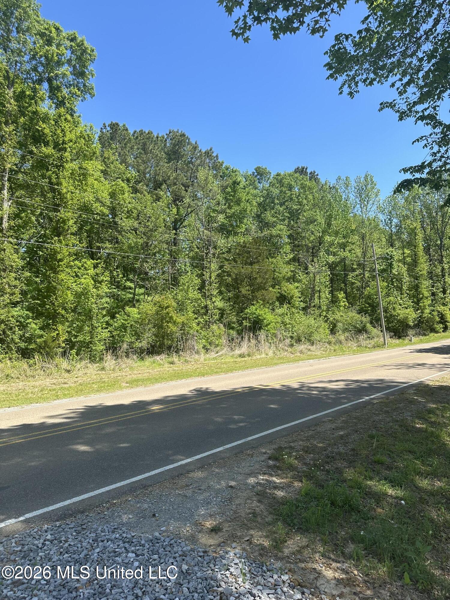 Robinson Springs Road Madison, MS 39110 - Photo 3 of 4 IMG_2369