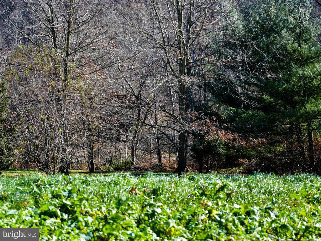 13 Nottingham Road Nottingham, PA 19362 - Photo 8 of 11