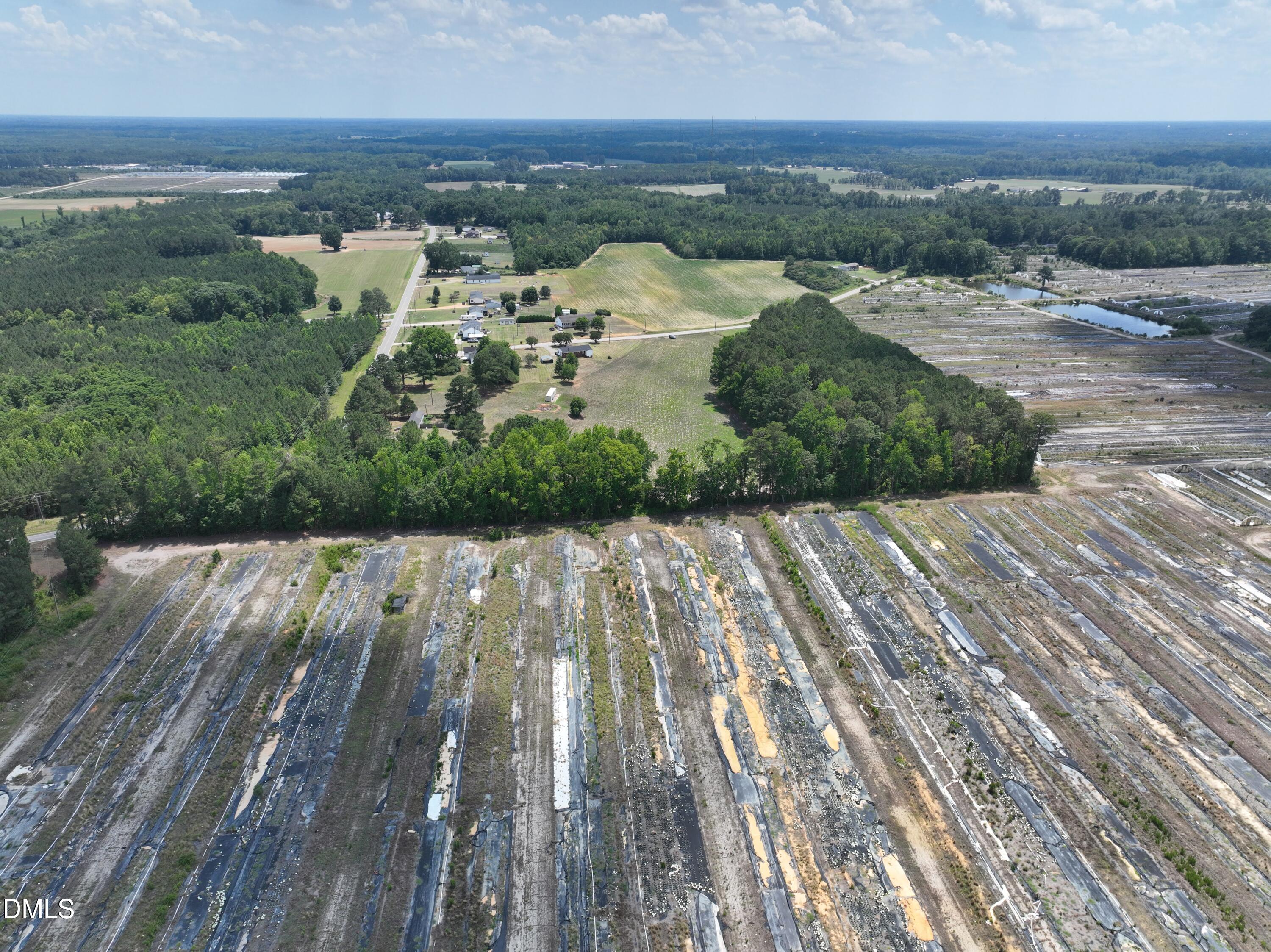 0 Boykin Road Sims, NC 27880 - Photo 8 of 15