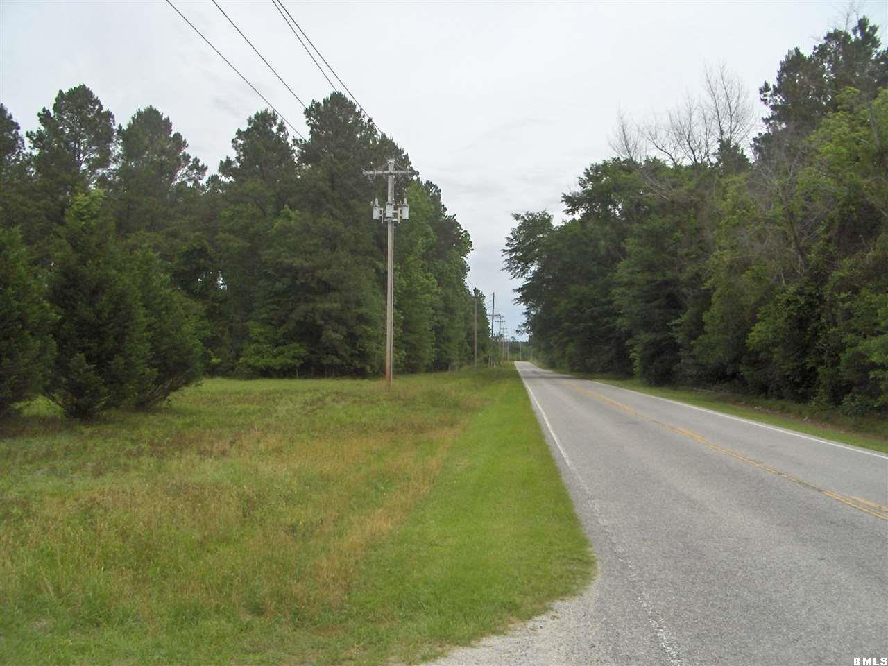 7395 2 Sisters Ferry Road Estill, SC 29918 - Photo 1 of 1 Primary Photo