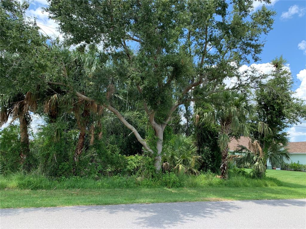 307 Mendoza Street Punta Gorda, FL 33983 - Photo 1 of 1