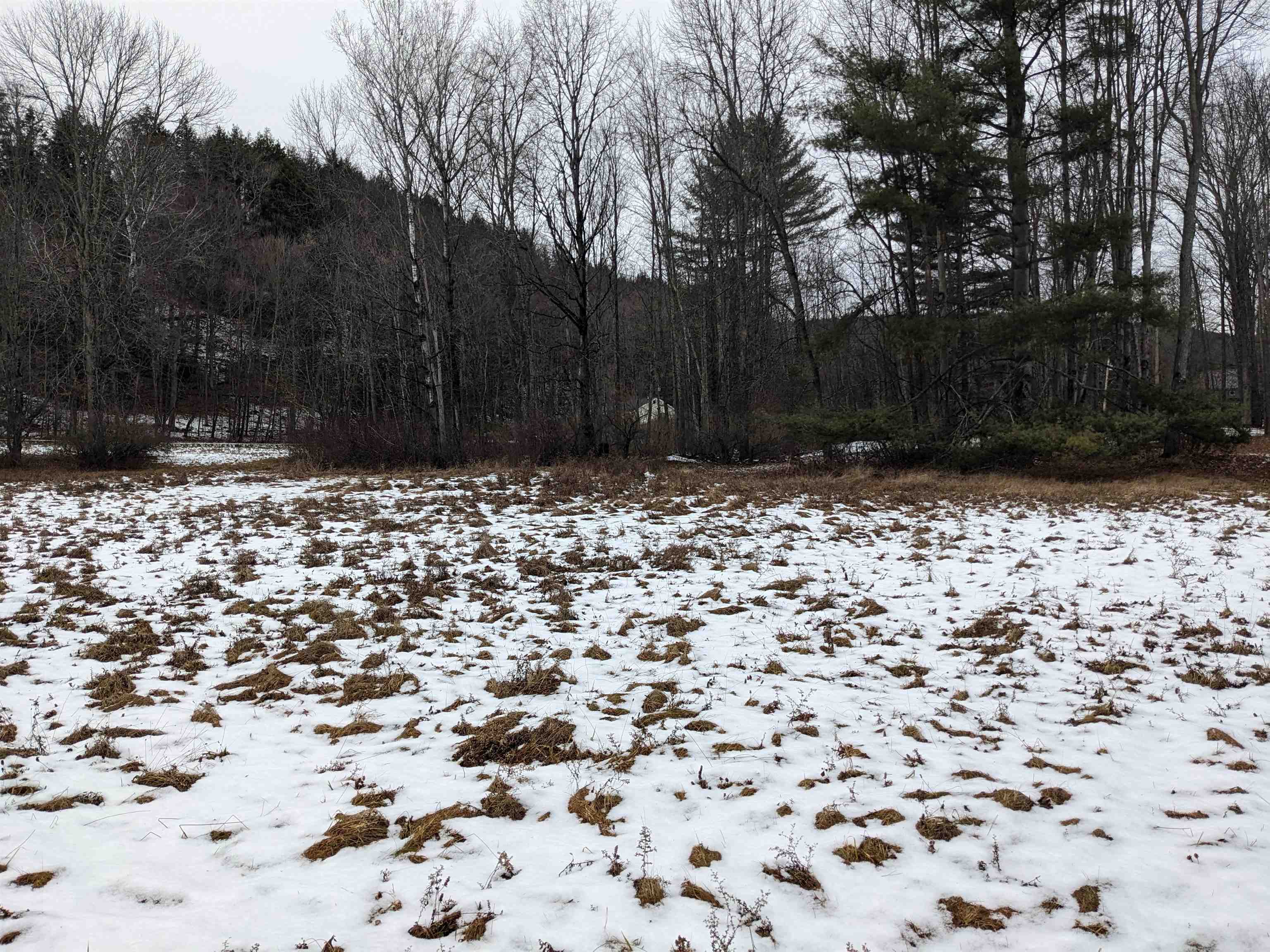 95 Sevigny Road Castleton, VT 05735 - Photo 17 of 22