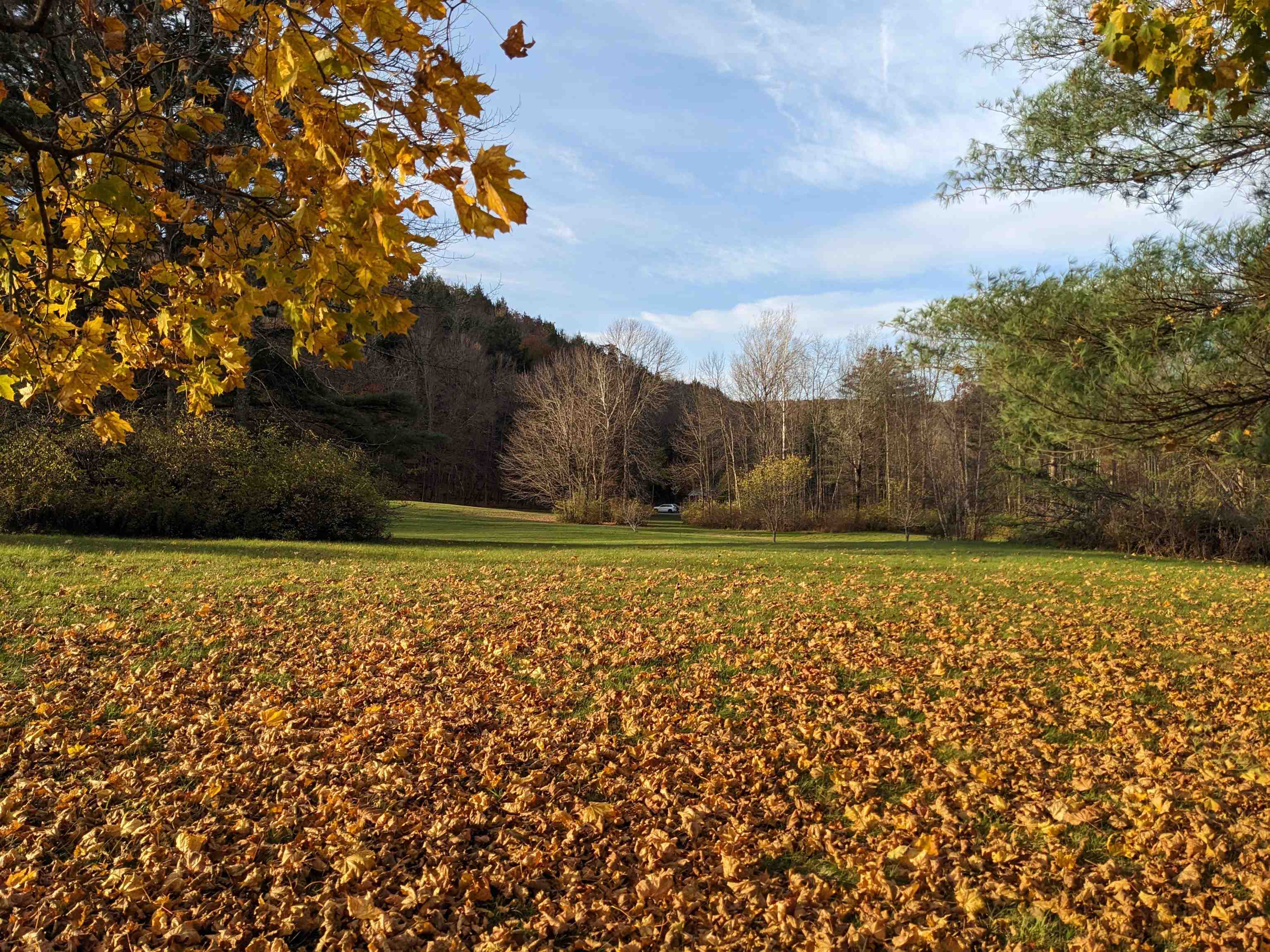 95 Sevigny Road Castleton, VT 05735 - Photo 20 of 22