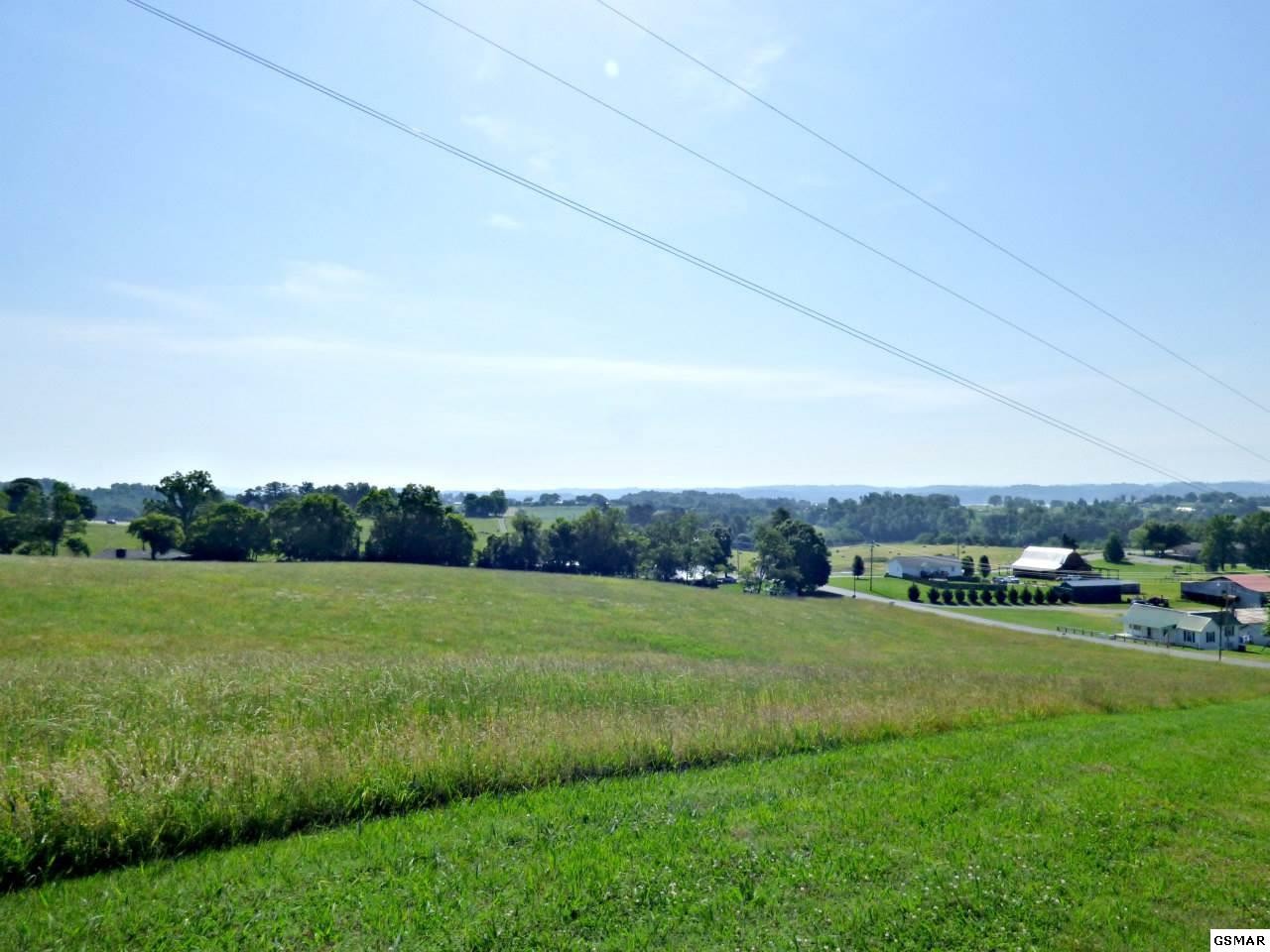 3 Owl Hole Gap Road Rutledge, TN 37861 - Photo 6 of 12 Gallery Image 6