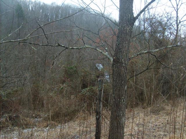 Valley Heights Road Alderson, WV 24910 - Photo 2 of 16 Small field