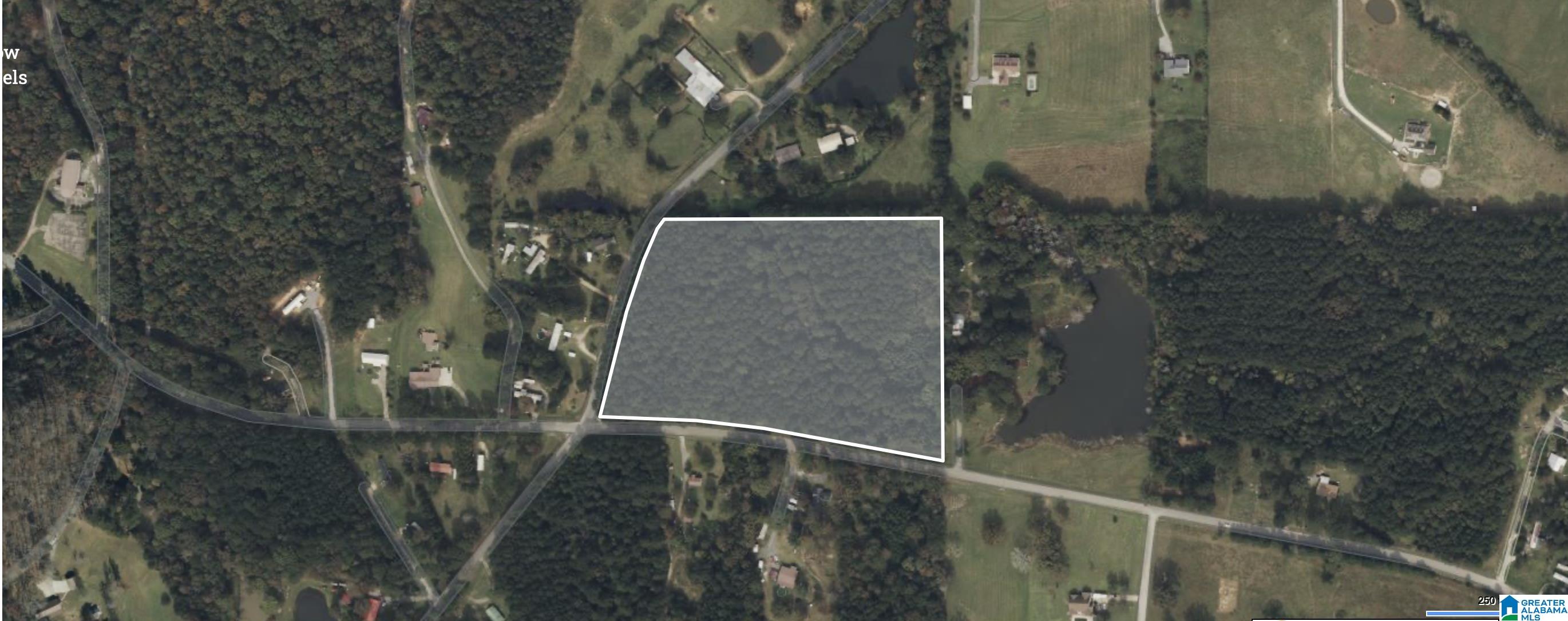 0 Greensport Road Ashville, AL 35953 - Photo 43 of 43