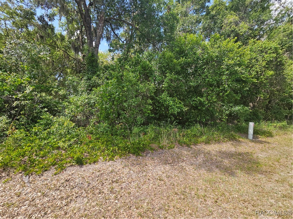 2828 East Chartwell Circle Hernando, FL 34442 - Photo 1 of 17