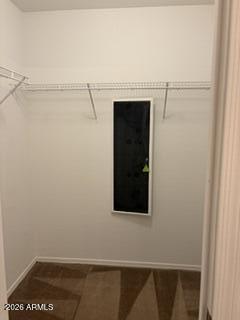 6618 West Riva Road Phoenix, AZ 85043 - Photo 13 of 18 Walk in Closet