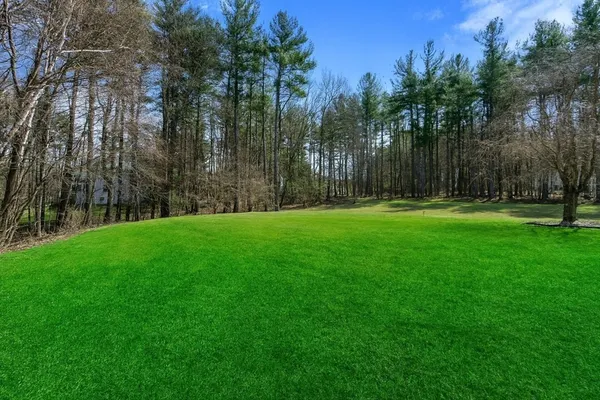 a backyard of apartments with large trees