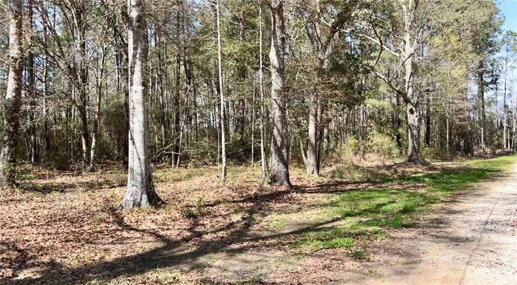 0 Rheusaw Crawford Road Pearl River, LA 70452 - Photo 1 of 9 Gallery Image 1