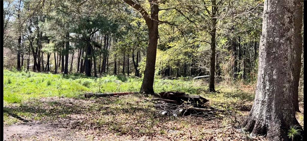 0 Rheusaw Crawford Road Pearl River, LA 70452 - Photo 2 of 9 Gallery Image 2