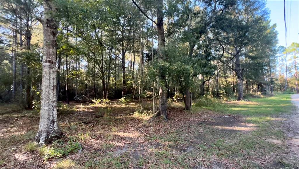 0 Rheusaw Crawford Road Pearl River, LA 70452 - Photo 5 of 9 Gallery Image 5