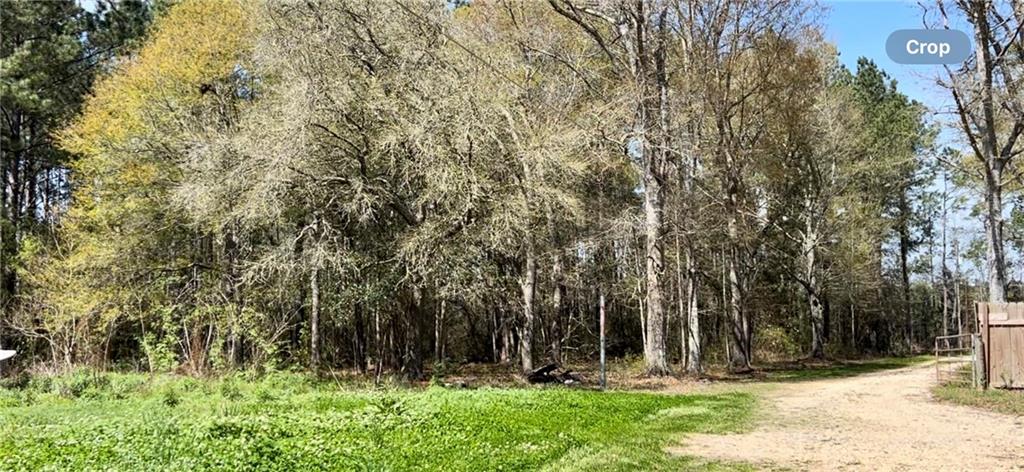0 Rheusaw Crawford Road Pearl River, LA 70452 - Photo 8 of 9 Gallery Image 8