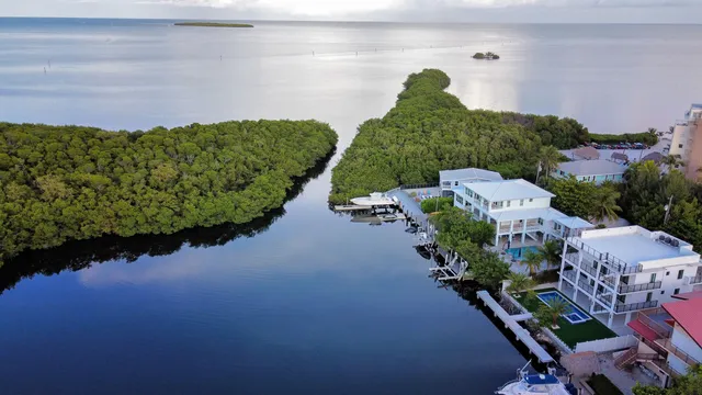a view of a lake with a building in the background