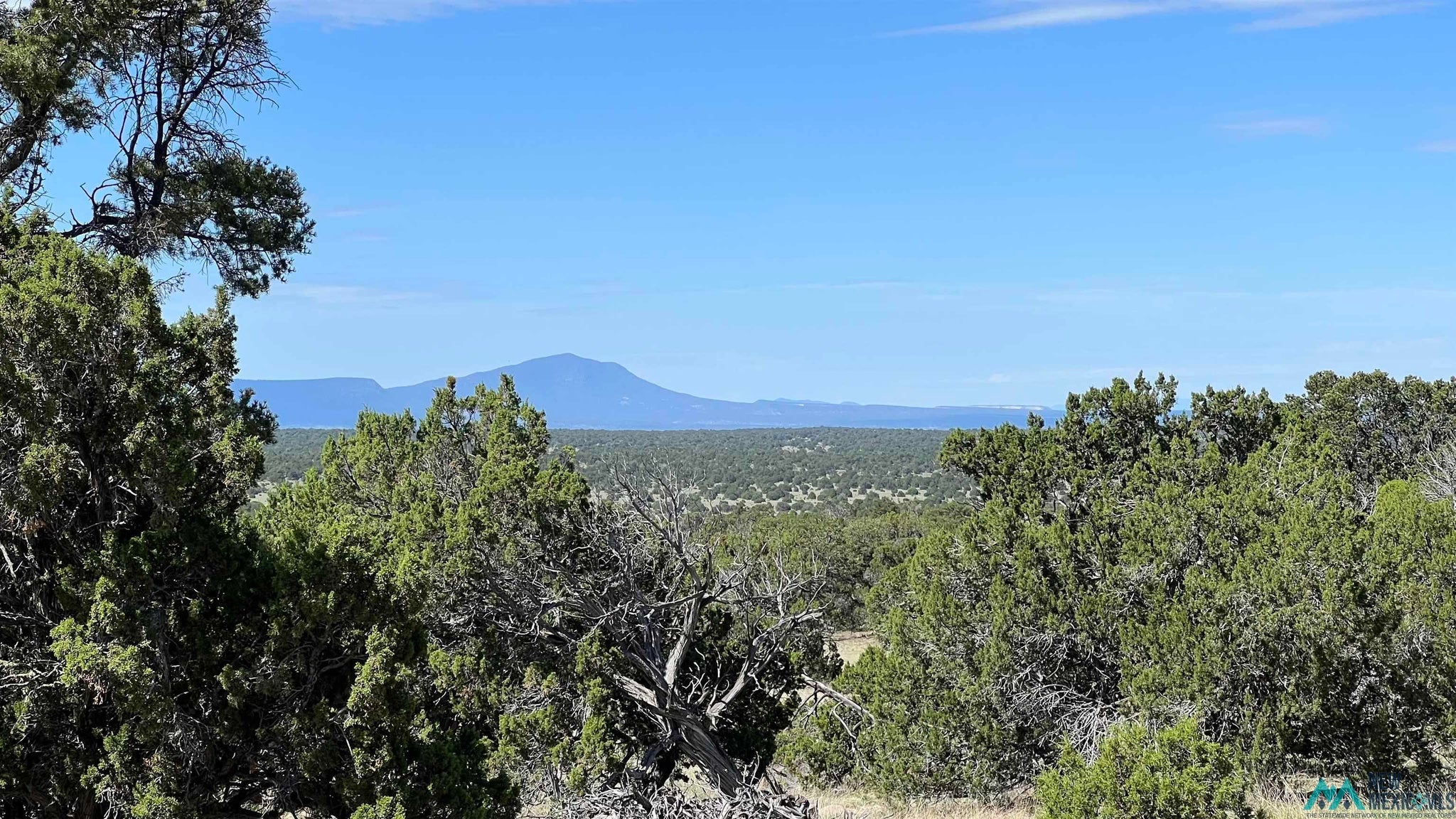 Solano Road Pie Town, NM 87827 - Photo 6 of 12 Gallery Image 6