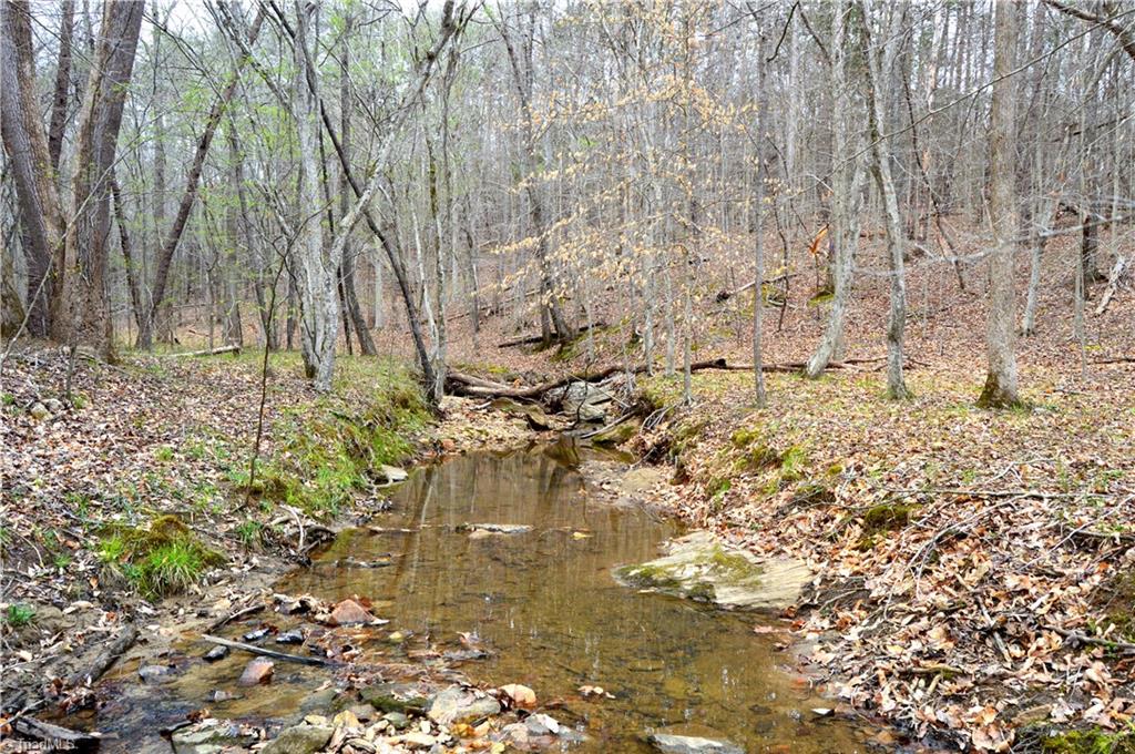 0 Easley Road Eden, NC 27288 - Photo 15 of 30 Gallery Image 15