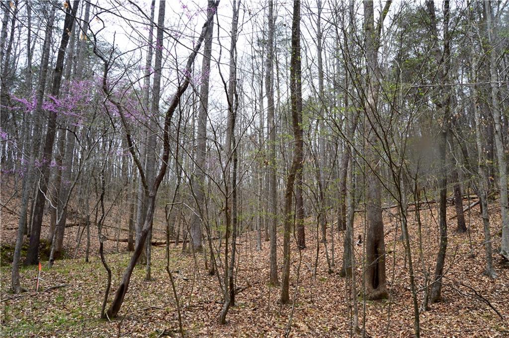 0 Easley Road Eden, NC 27288 - Photo 27 of 30 Gallery Image 27