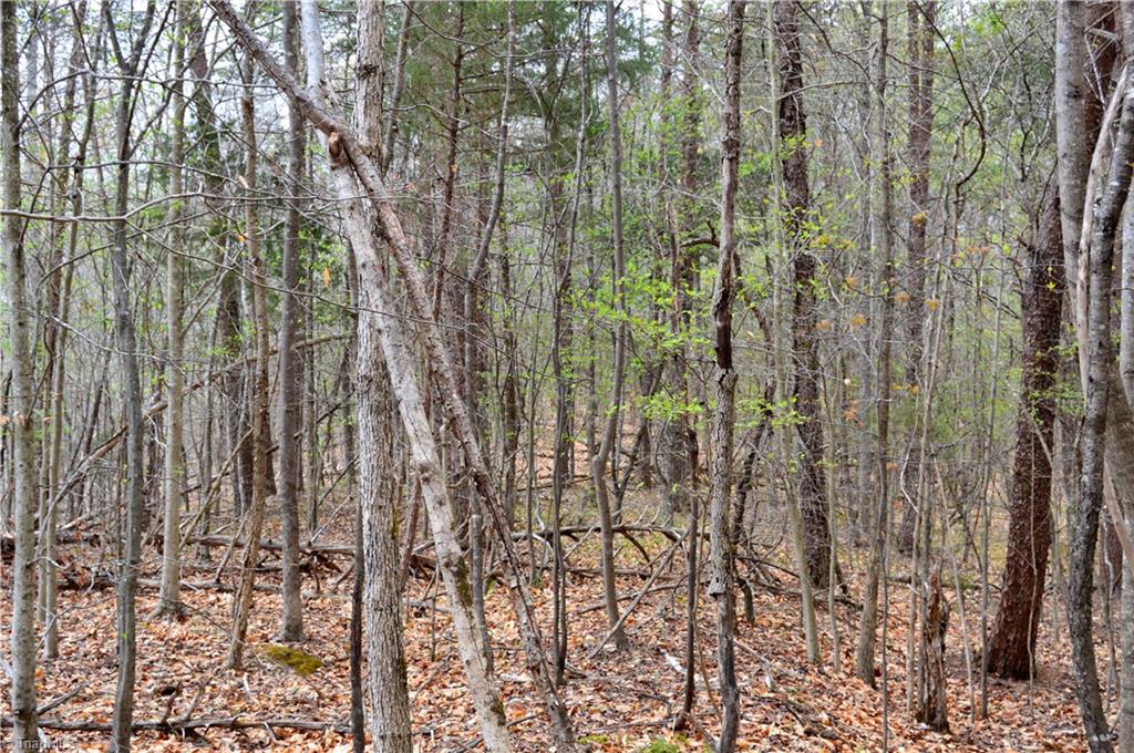 0 Easley Road Eden, NC 27288 - Photo 6 of 30 Gallery Image 6
