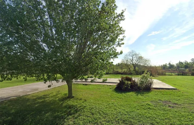 a view of a garden with trees
