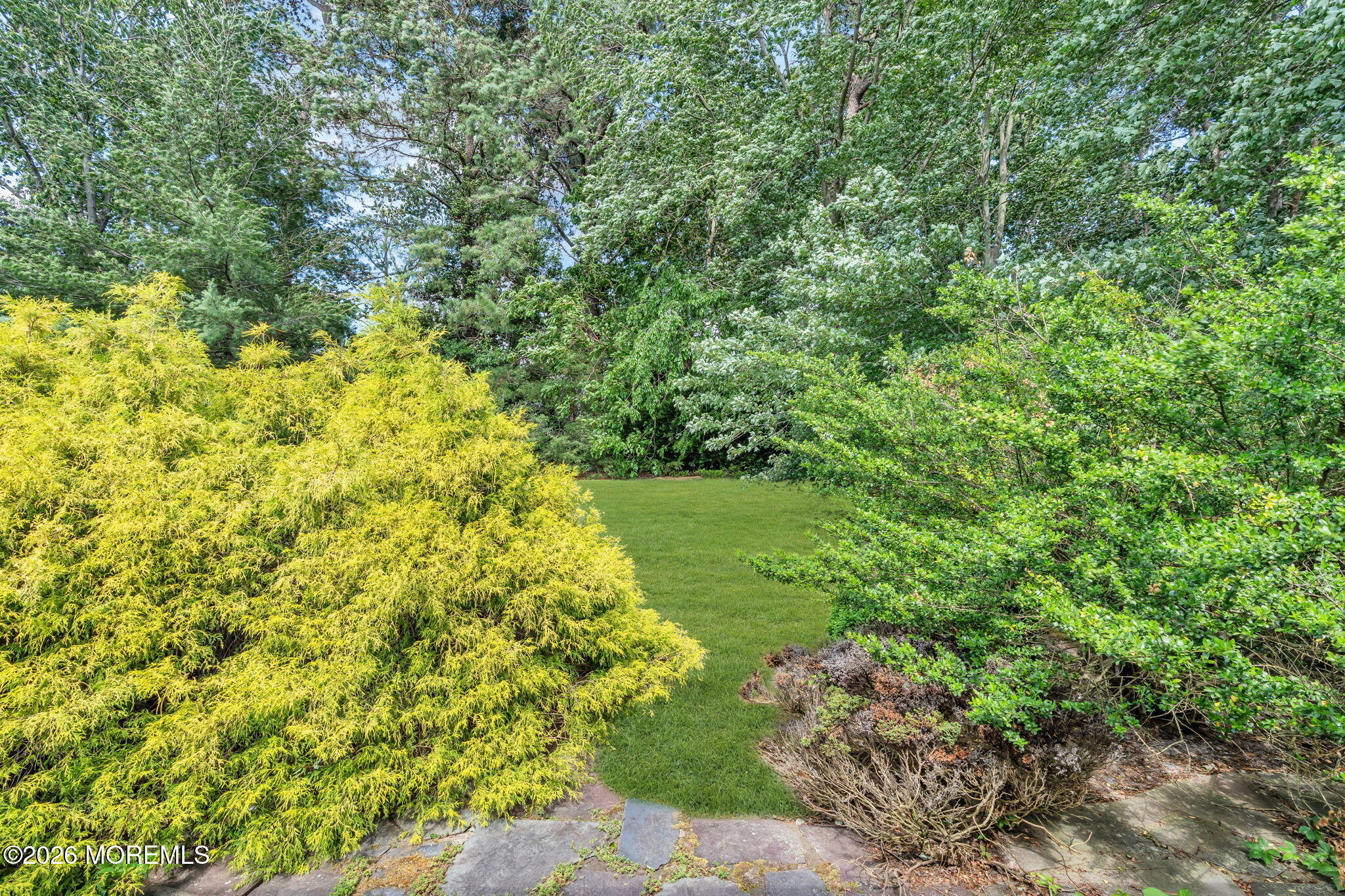 30 Phillips Road Brick, NJ 08724 - Photo 23 of 25 41-backyard-golden-arborvitae-and-lawn
